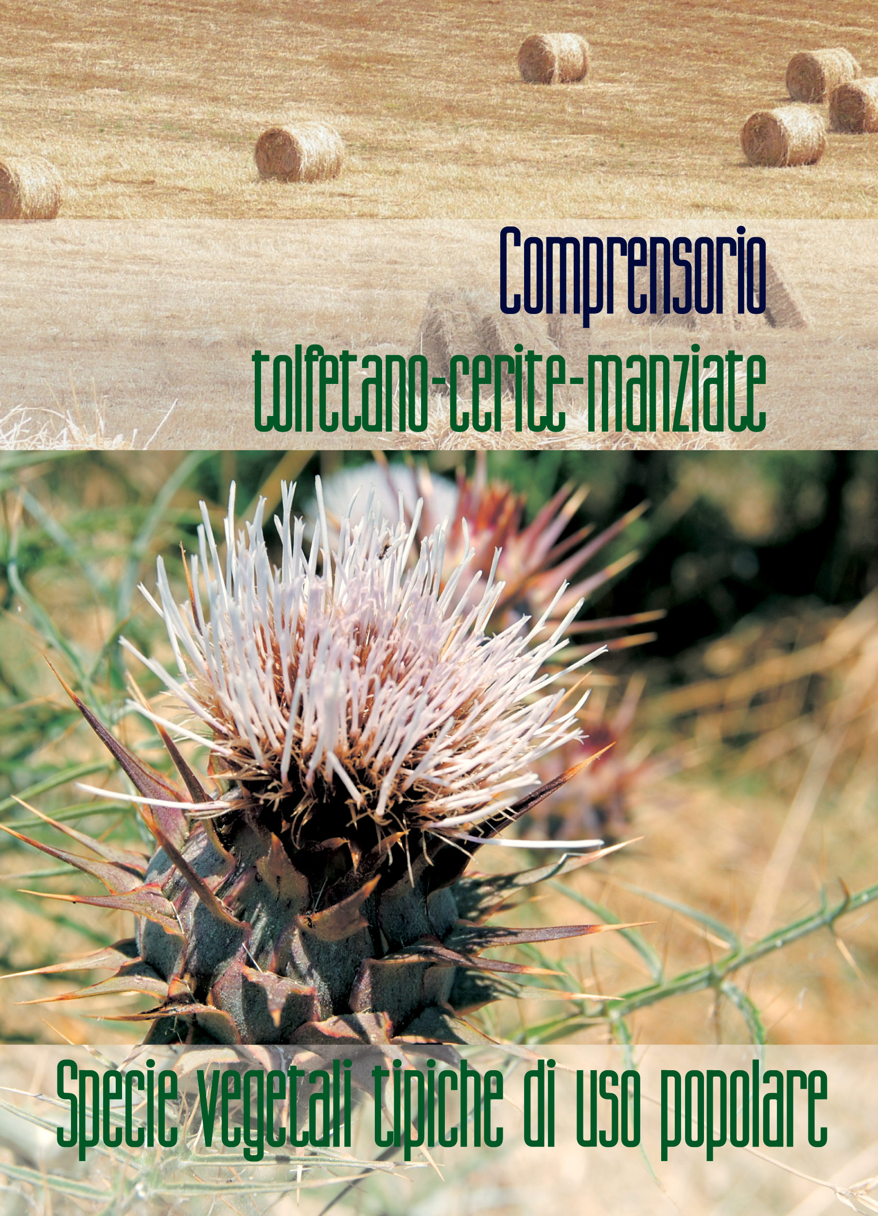 2010_cover_brochure_Caneva-1-3