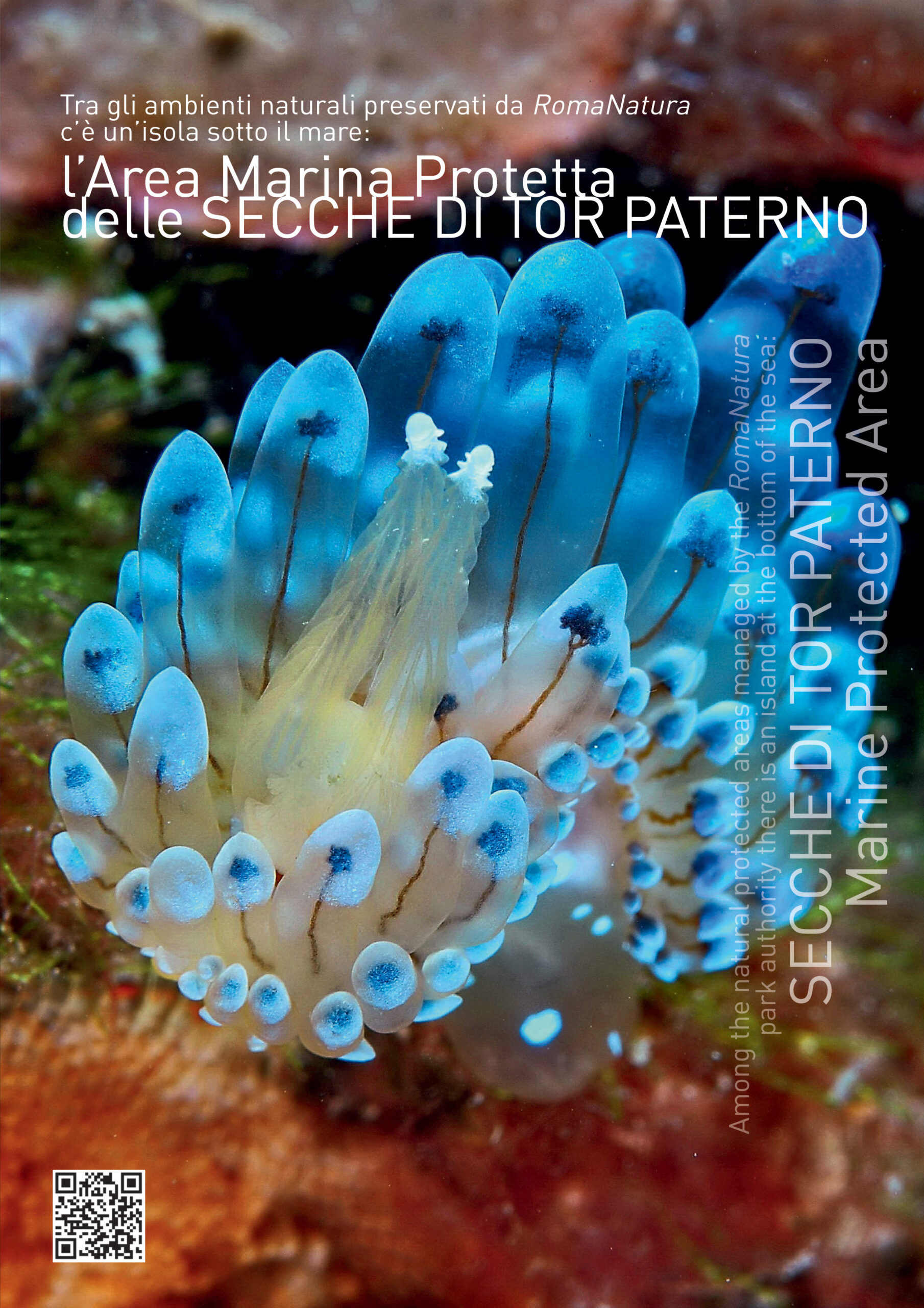 2766_Calendario_RomaNatura-3