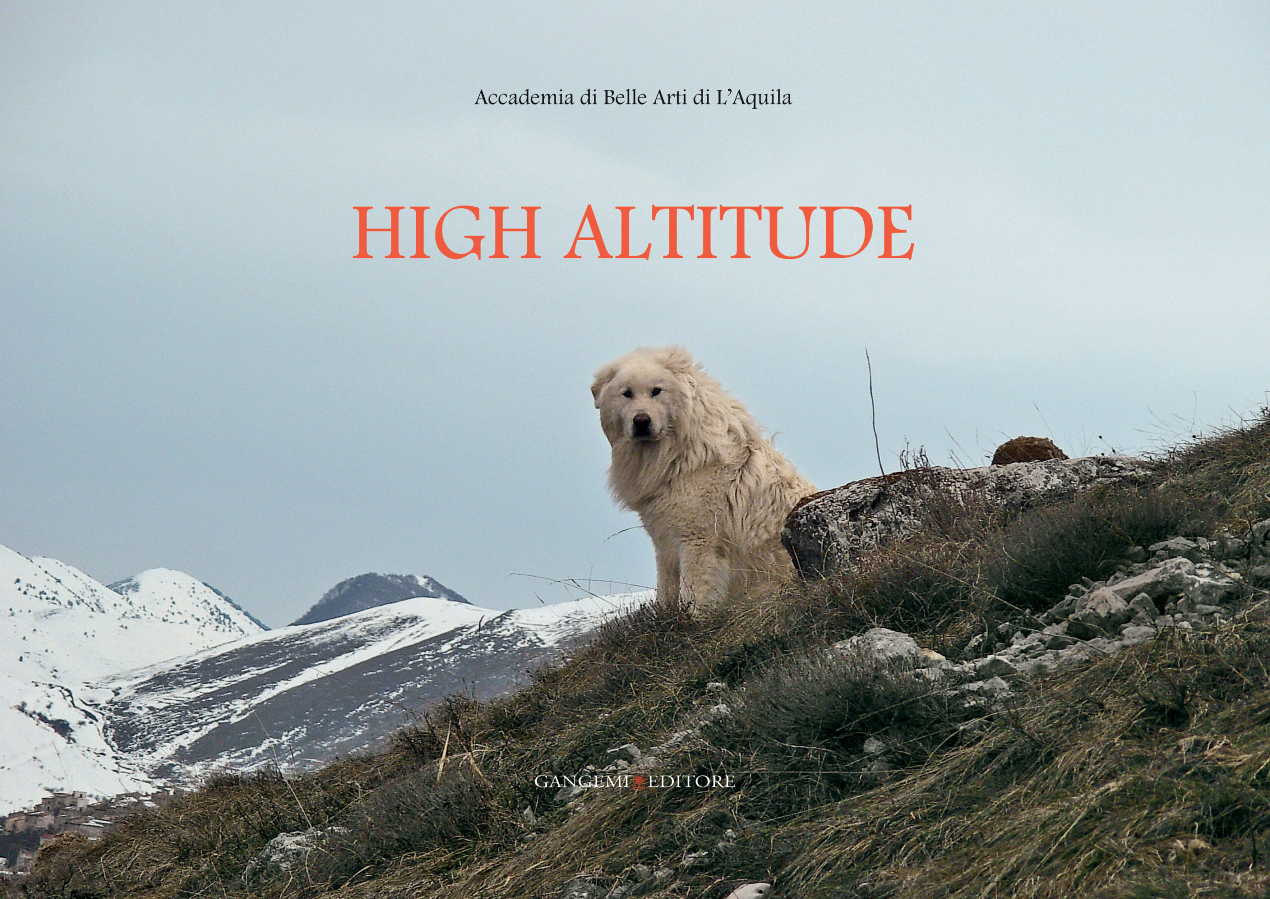 2898_highAltitude-3